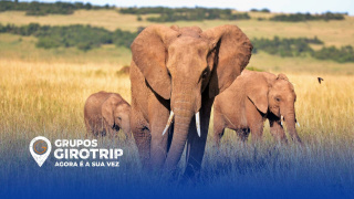 �frica do Sul com Zimb�bue e Botsuana