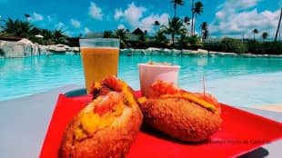 Gasto zero com alimentao